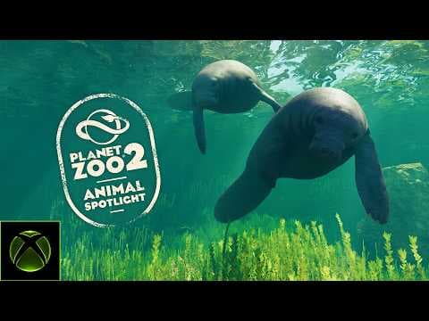Planet Zoo 2 announces a Spotlight Animal: the Latin of the West Indies on PS5